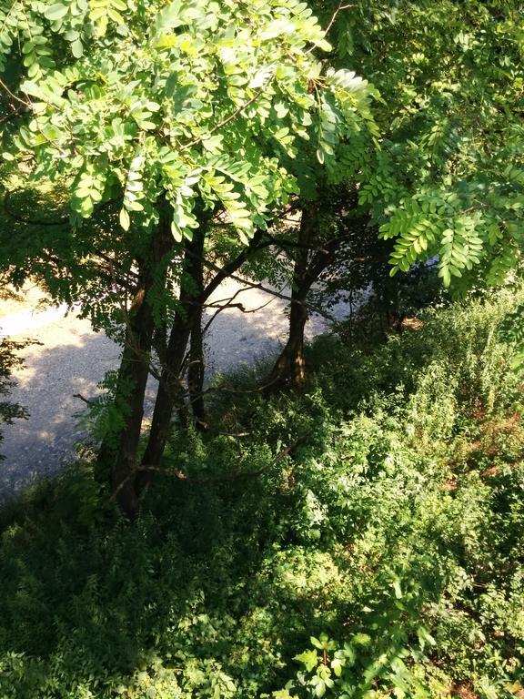 Casetta Next To The Creek Dino Buzzati Belluno Bilik gambar